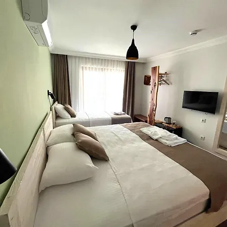 Nest Gunay Kaş