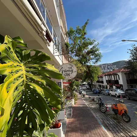Hotel Nest Gunay *